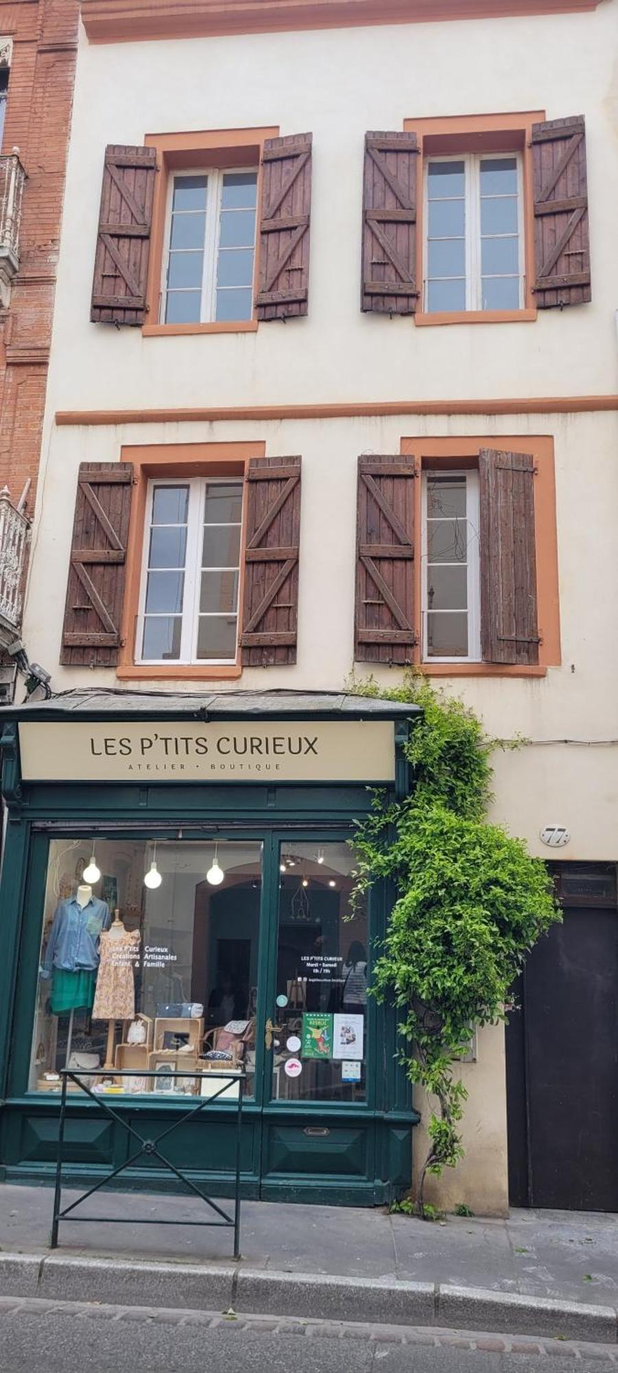 Le Nid De La Colombe - Hypercentre Apartment Toulouse